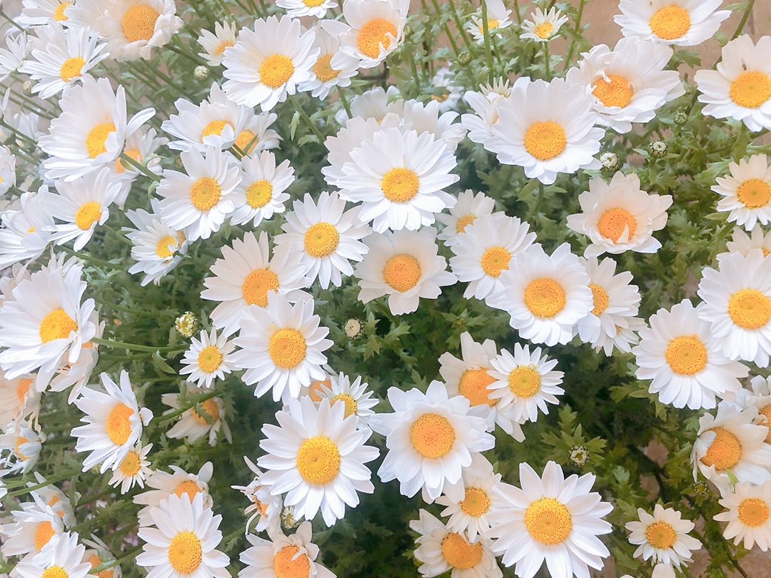 就職体験談を掲載いたしました