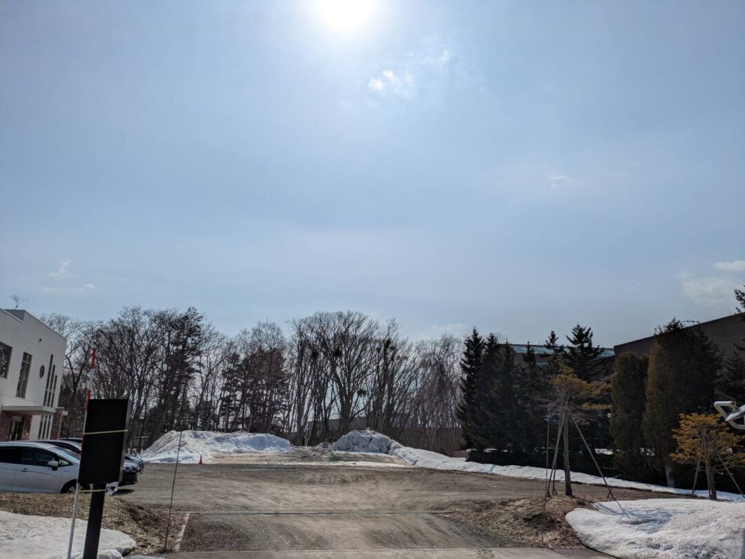 山のふもとで野菜を育てているよ!の巻