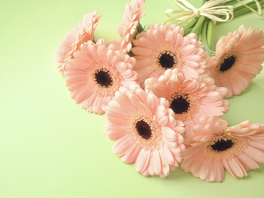 就職体験談を掲載いたしました